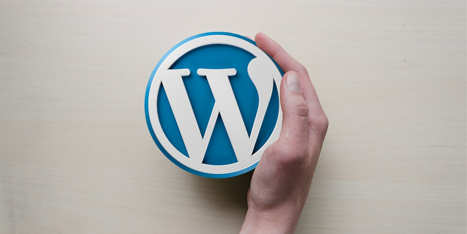 5-essential-wordpress-plugin-marketers