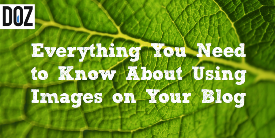 everything-you-need-to-know-about-using-images-on-your-blog