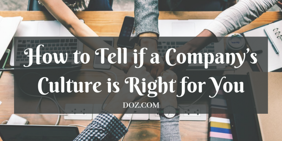 company culture right for you